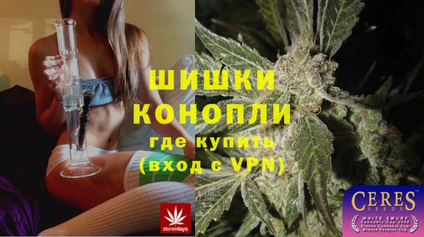 ПСИЛОЦИБИНОВЫЕ ГРИБЫ Рославль