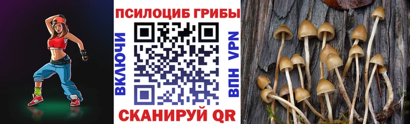 Псилоцибиновые грибы Cubensis продажа наркотиков Бавлы